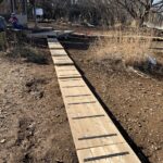 山草のみち（棒ノ折山）頂上を整備