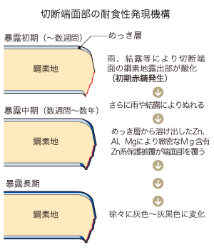 ZAM切断端面部の耐食性発現機構